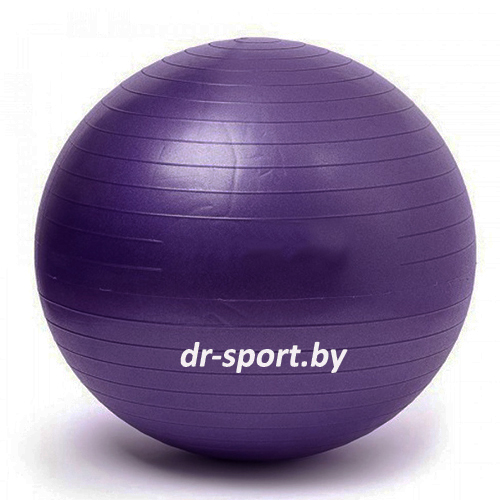 Мяч гимнастический Libera AR-29 баклажан